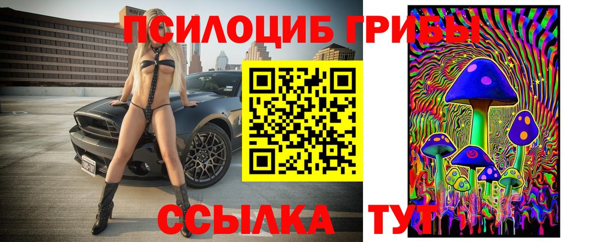 Белорецк  Галлюциногенные грибы Psilocybe  Вход с VPN 