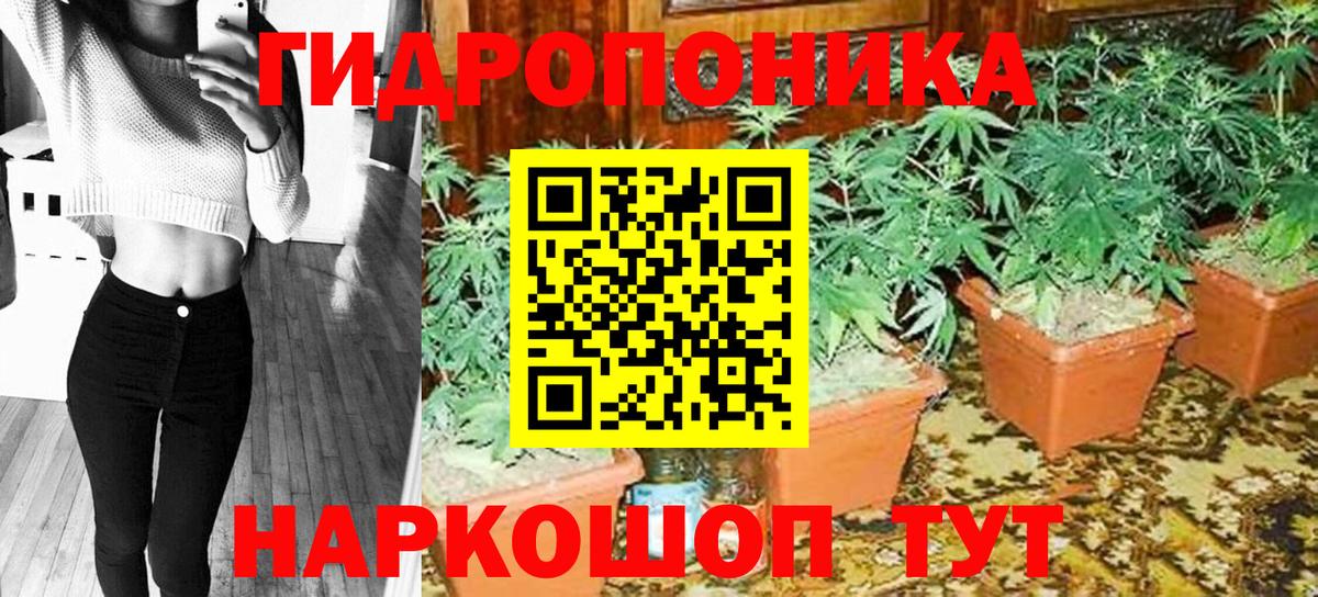 Шишки марихуана Amnesia  Бошки марихуана тримм  Канабис Ganja  Вход с VPN  Белорецк 